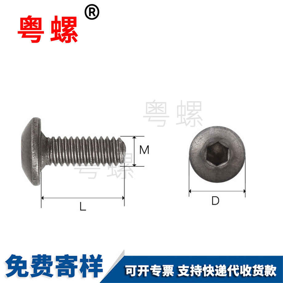 來賓鈦合金螺釘